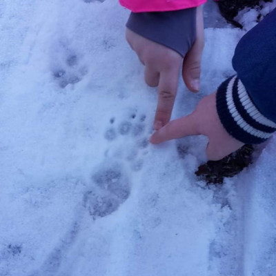 Spurensuche im Schnee