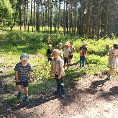 Waldspaziergang