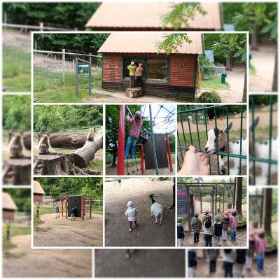 Besuch im Tiergarten Neustrelitz